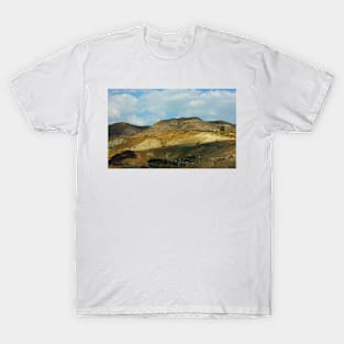 Sicily. Fields XIV. 2011 T-Shirt